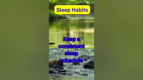 Sleep Habits Facts Youtube