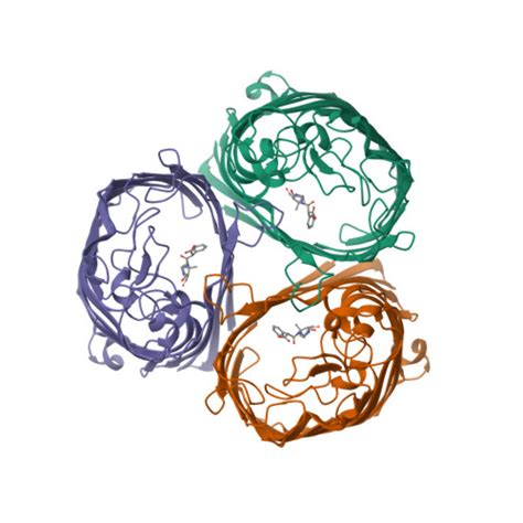 RCSB PDB 4GCQ Crystal Structure Of E Coli OmpF Porin In Complex