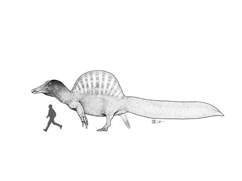 Spinosaurus, by me (with correctly sized human this time ;) : r ...