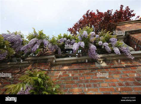 Ypres Salient Battlefields Hi Res Stock Photography And Images Alamy
