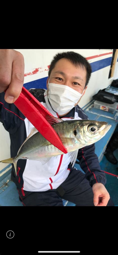 3日 午後アジショート便 釣果 釣船「ヤザワ渡船」大阪市内から淡路方面へ出船中！