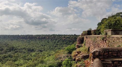 Gandhi Sagar Wildlife Sanctuary | Nature inFocus