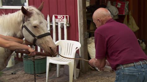 The Incredible Dr Pol Unlocked Channel Is Now Streaming Watch Free