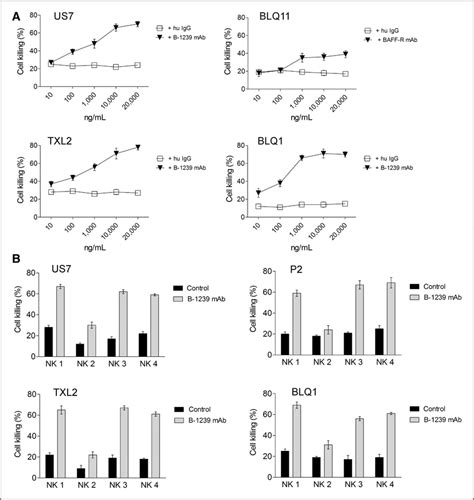 B 1239 Promotes Nk Cell Mediated Adcc Activity Against Human Pre B All Download Scientific