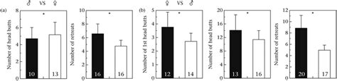 Significant Effects Of Dsx Rnai On Behaviour In Mixed Sex Interactions Download Scientific