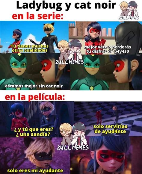 Pin By Lulu Henry On Cat Noir In Aesthetic Memes Miraculous