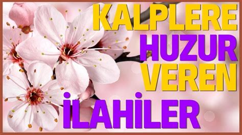 Kalplere Huzur Veren Harika Lahiler Hay Rl Cumalar