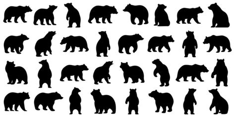 784 Bear Silhouette No Background Royalty-Free Images, Stock Photos ...