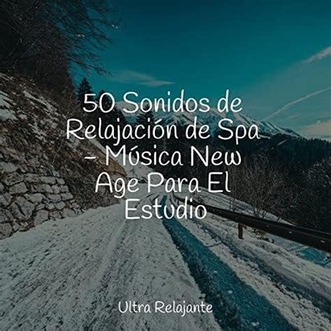 50 Sonidos de Relajación de Spa Música New Age Para El Estudio de