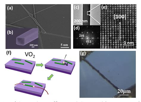 Figure 1 From Ultrahigh Responsivity And External Quantum Efficiency Of