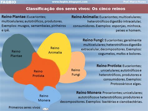 FAQBIO Apoio Ao Estudo De Biologia Ficha Resumo Faqbio 77 Os