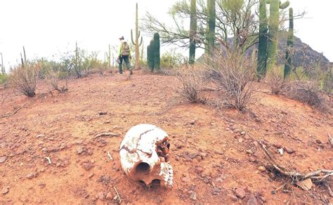 Buscan A Migrantes Que “coyotes” Abandonan En El Desierto De Eu