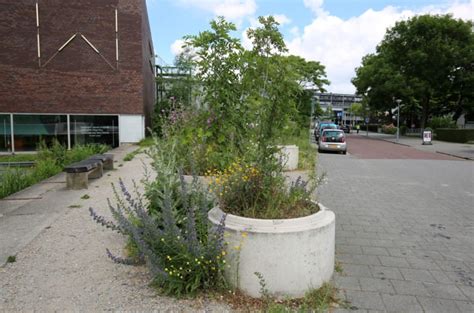 De Nieuwe Tuin Frank Bruggeman