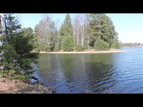 "Лесной пруд " - YouTube