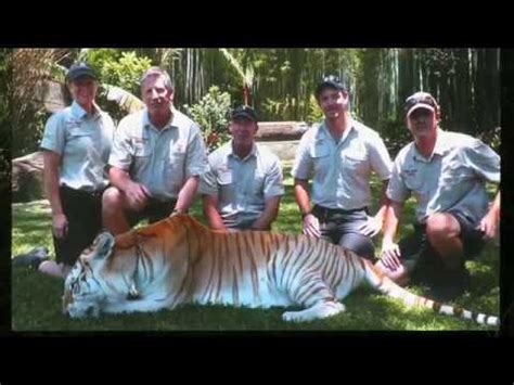 New Tiger Show At Dreamworld YouTube