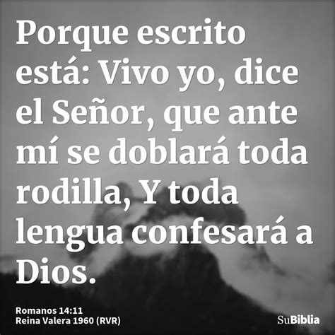 Romanos 14 11 Biblia