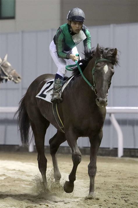 【浦和】142戦目で初重賞の9歳馬パーソナルマキ 平山師「元気いっぱいですよ」／11r 南でも関でも 競馬コラム写真ニュース 日刊スポーツ