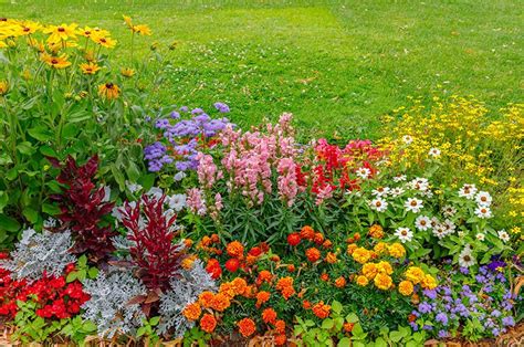 Master The Basics Of Landscaping And Garden Design Shruhub Shrubhub