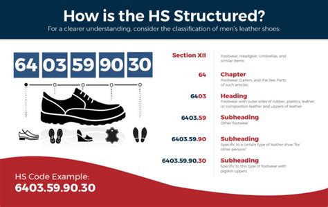 Harmonized System 101 An Importer S Guide To HS Codes And Their Role