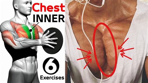 Best 6 Exercises Inner Chest🔥 Youtube