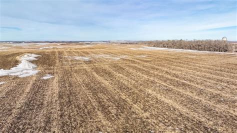 Acre Adjoining Land Acreage Auction Burlage Peterson