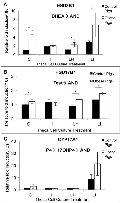 Theca Cell Gene Expression Of Hsd3b1 A Hsd17b4 B And Cyp17a1 C Download Scientific