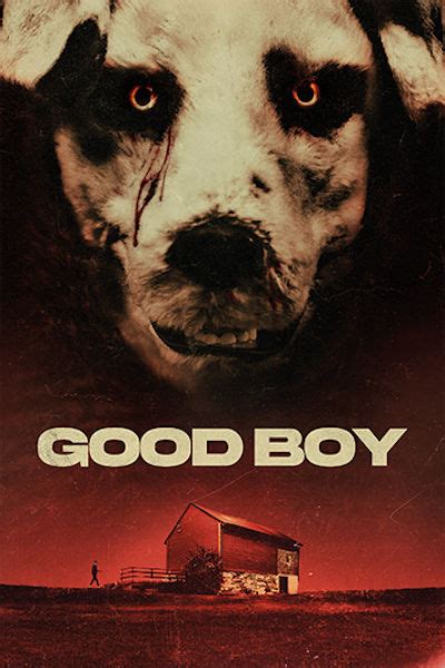 Good Boy Pel Cula Cr Tica Reparto Estreno Duraci N