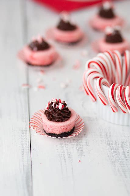 Mini Chocolate Candy Cane Cheesecakes Everyday Annie