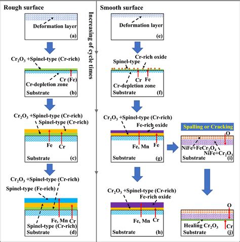 Schematic Representation Of Oxidation Behavior Of Samples With