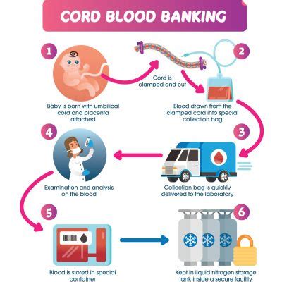 Cord Blood Stem Cell Transplant: A Life-Saving Procedure - Positive ...