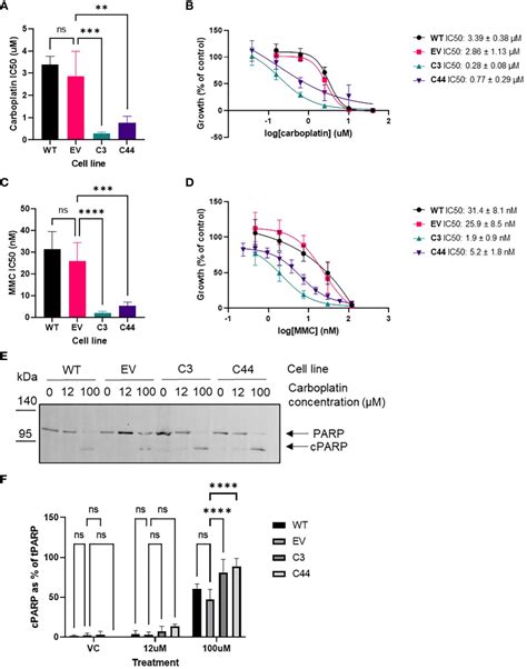 Frontiers RFWD3 Modulates Response To Platinum Chemotherapy And