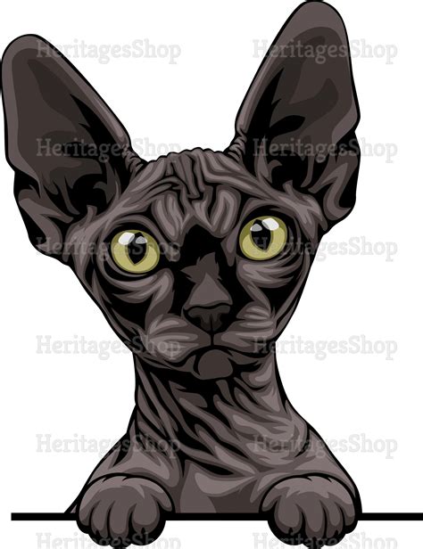 Sphynx Dark Grey Cat Breed Illustration Peeking Line Peekaboo .svg .png ...