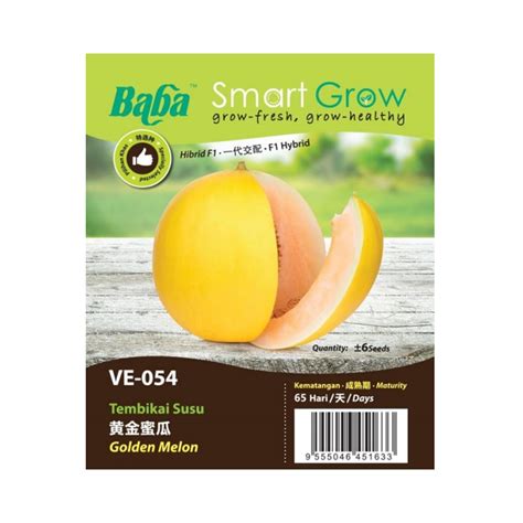 Biji Benih Baba VE 054 Smart Grow Vegetable Seed Golden Melon