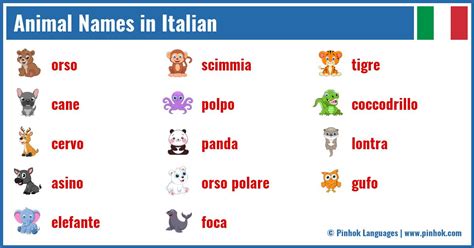 Animal Names in Italian