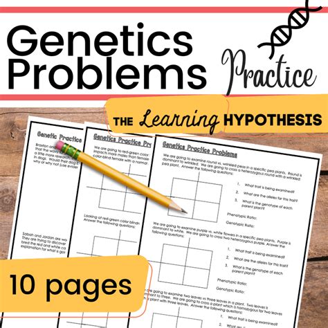 Genetics Practice Problems The Learning Hypothesis Worksheets Library