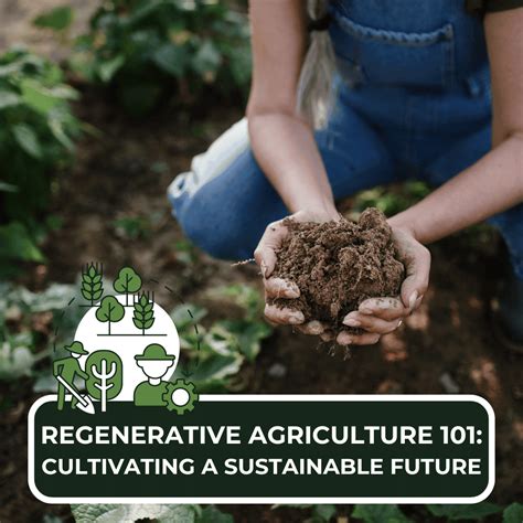 Regenerative Agriculture Cultivating A Sustainable Future Through