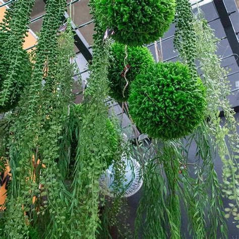 Ампельные растения искусственные - купить в Москве в магазине 7ЦветовДекор