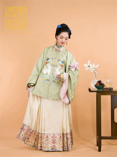 Hanfu Chinese Ming Dynasty Traditional Clothing Hanfu