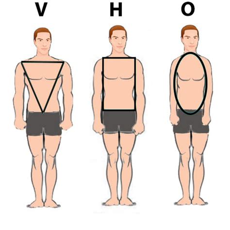 Morphologie Homme