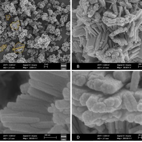 Green Synthesized Zno Nanoparticle Sem Image Download Scientific Diagram