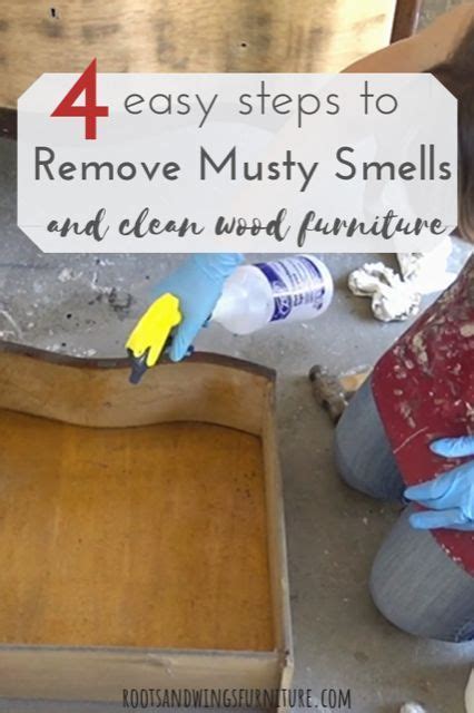 Steps To Get Rid Of That Musty Smell Roots Wings Furniture Llc