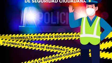 Iii Consulta P Blica Sobre Seguridad Ciudadana Informes Y