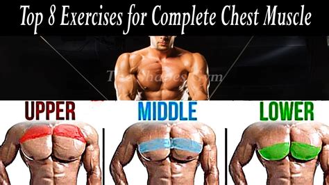 Top 8 Chest Exercises For Strength And Shape Complete Chest Workout