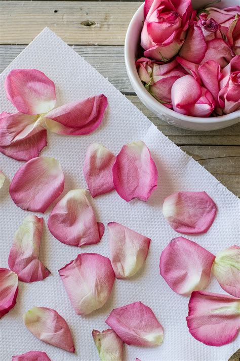 How to Dry Rose Petals In Under Two Minutes - Perfectly