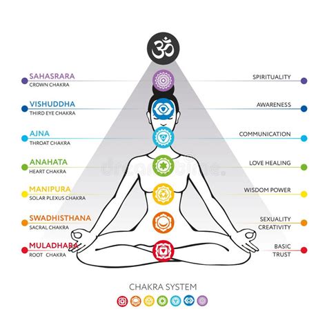 Los Siete Chakras Y Sus Significados Stock De Ilustración Ilustración De Significados