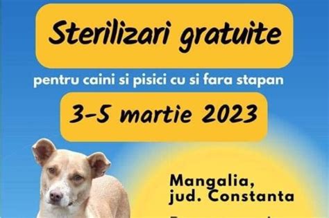 Mangalia Steriliz Ri Gratuite Pentru C Inii I Pisicile F R St P N