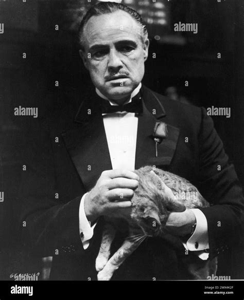 The Godfather The Godfather Marlon Brando As Don Vito