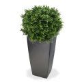 Kunst Buxus Bol Deluxe Maxifleur Kunstbomen