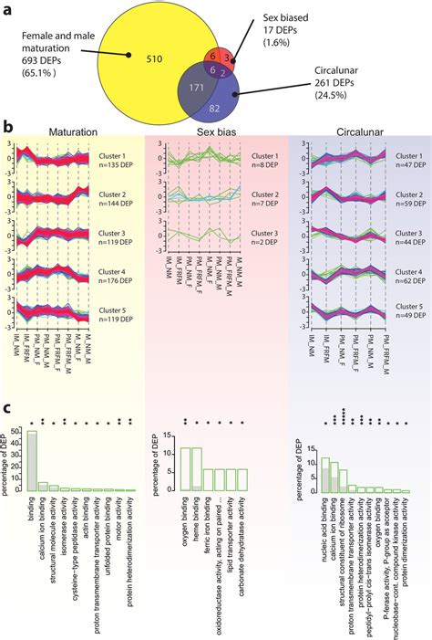 Figures And Data In Combined Transcriptome And Proteome Profiling