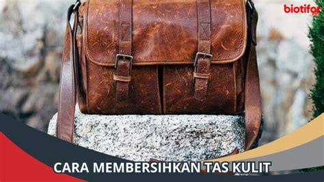 Cara Membersihkan Tas Kulit Tips Merawat Tas Kulit Kamu Biotifor